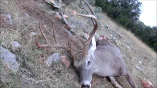 big 9 point shot with .243 rifle