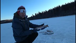 Alaska. Quartz Lake. Первая зимняя рыбалка на  форель.