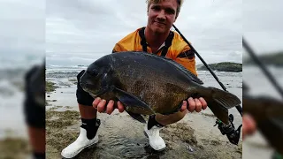 HUGE Bronze Bream! Catch Cook! (Traces, Bait, All you need to know!)