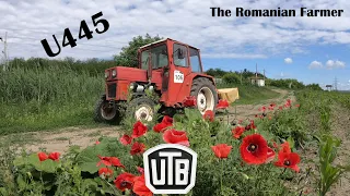 U445 La cosit  lucerna POV mowing pasture lucerne  FULL HD