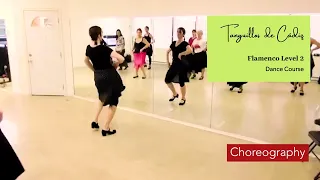 Flamenco Dance Beginner Level 2 - Tanguillos de Cadiz and Technique