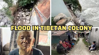 Tibetan Settlement 15 Mile After Flood 😭 | #tibetanvlogger