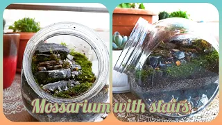 Stairs Moss Terrarium Diy Full Steps