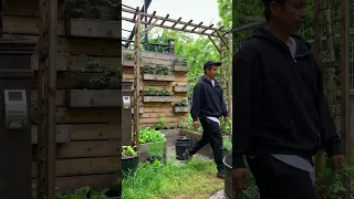 GARDEN TOUR: Maximizing our backyard space to grow food in every corner