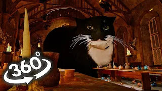 360°  Maxwell Cat in Hogwarts Legacy  / VR video experience 4K