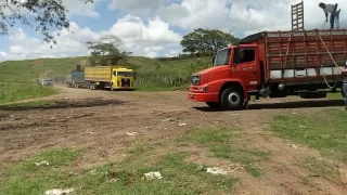 Galera do pé rachado carregamento. Caminhão boiadeiro Itapetinga Ba.