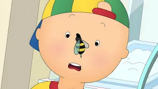 Caillou and the Bee | Caillou's New Adventures