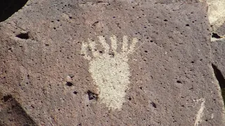 Petroglyphs Wild Horses & Arrowheads!