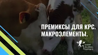 Премиксы для КРС. Макроэлементы.