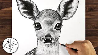 How to Draw a Deer | Drawing Tutorial (step by step)