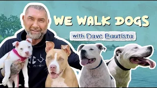 Dave Bautista and His 4 Rescue Pitbulls | WeWalkDogs
