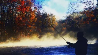 S01E105 | Introduction To Fly Fishing Great Lakes Steelhead