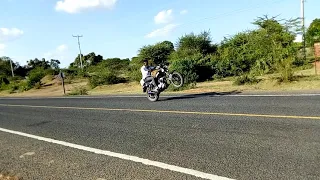 Popping a wheelie on the Evalast kuga