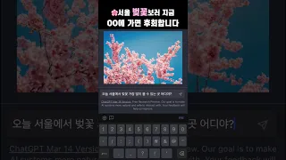 서울에서 벚꽃 가장 많이 볼 수 있는 곳