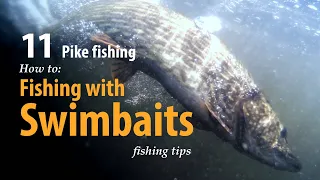 How to • Pike fishing • Fishing with Swimbaits • fishing tips