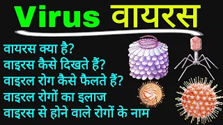 वायरस क्या होता है | virus kya hota hai | virus se hone wale rog | virus kya hai | virus in hindi