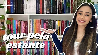 ✨ BOOKSHELF TOUR 2023: um tour pela minha estante de livros 📚