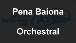 Pena Baiona Orchestral (mélodie aviron bayonnais)