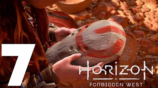 Прохождение Horizon Forbidden West: Часть 7 — Отблески солнца / Тень из прошлого