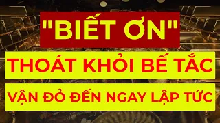 Thoát Khỏi Bế Tắc Bằng Thần Chú "BIẾT ƠN" Thu Hút Tiền Bạc I Sức Mạnh Tiềm Thức Luật Hấp Dẫn