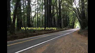 My Permaculture Journey