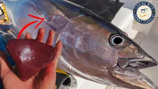 Tuna Fishing Traditions - Watch BEFORE Your 1rst Tuna Trip