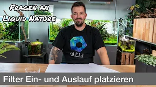 Wo platziere ich Filter Ein- und Auslauf richtig? | Fragen an Liquid Nature