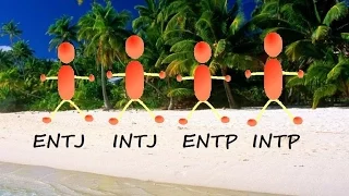 ENTJ, INTJ, ENTP & INTP are stranded on an island...