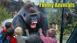 Funny Animals. Funny KIDS vs ZOO ANIMALS are WAY FUNNIER! - TRY NOT TO LAUGH