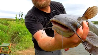 Catch Catfish with Carp Bait - Boilies for Catfish Bait