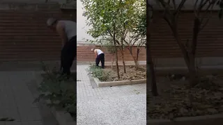 Dad accidentally kills a kitten with shovel (WARNING)