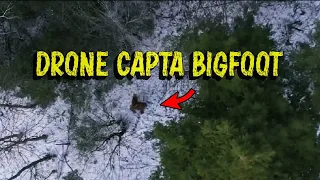 DRONE CAPTA BIGFOOT CAMINANDO EN BOSQUE