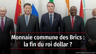 Monnaie commune des Brics : la fin du roi dollar ?