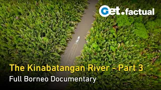 The Kinabatangan River | Can We Save It? | The Amazon of the East - Borneo Documentary, Part 3