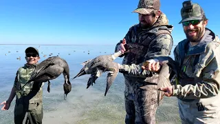 Pintail Limits! Texas Duck Hunting