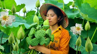 Harvest Lotus pods in the Lagoon go to the Market sell - Cook Lotus seed Porridge | Tran Thi Huong