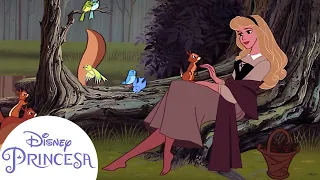 Como Aurora conheceu o Príncipe Phillip? | Disney Princesa