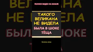 Такого я ещё не видела, с восхищением кивала тёща...Интересные истории из жизни. Аудиорассказ