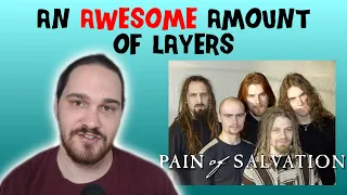 Composer/Musician Reacts to Pain Of Salvation - The Perfect Element (REACTION!!!)