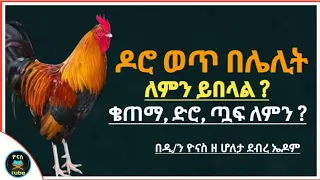 Ethiopia :- ዶሮ ወጥ በሌሊት ለምን ? | ቄጠማ,ድፎ ዳቦ ለምን ? | doro lelit lemin yibelal? | ዮናስ ቲዩብ | yonas tube