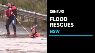 Residents cut off as flood warnings issued, conditions ease in Sydney and Illawarra | ABC News