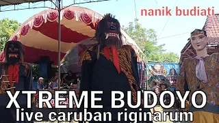 dawangan XTREME BUDOYO live di caruban riginarum #dawangankendal #barongankendal