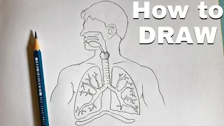 Human Respiratory system| how to Draw Human Respiratory system Diagram step by step Drawing