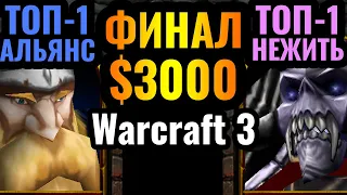 У Happy тяжелые времена? Новая Эра для Альянса?! Финал турнира за $3000 по Warcraft 3 Reforged