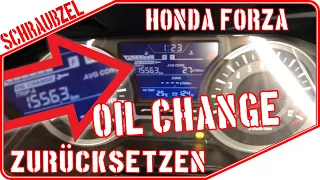 Honda Forza Ölwechsel Anzeige im Display zurück setzen