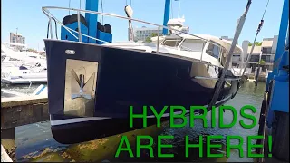 HYBRIDS ARE HERE!