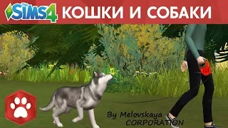 ОБЗОР: THE SIMS 4 КОШКИ И СОБАКИ | РЕЖИМ СОЗДАНИЯ ПИТОМЦА + CAS + СТРОИТЕЛЬСТВО