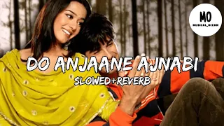 Do Anjane Ajnabi | Slow+Reverb |