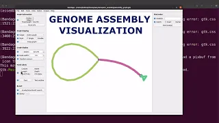 Bandage tutorial for genome assembly visualization