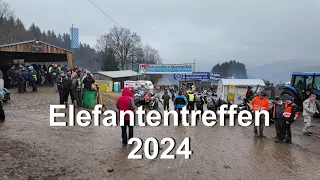 Elefantentreffen 2024